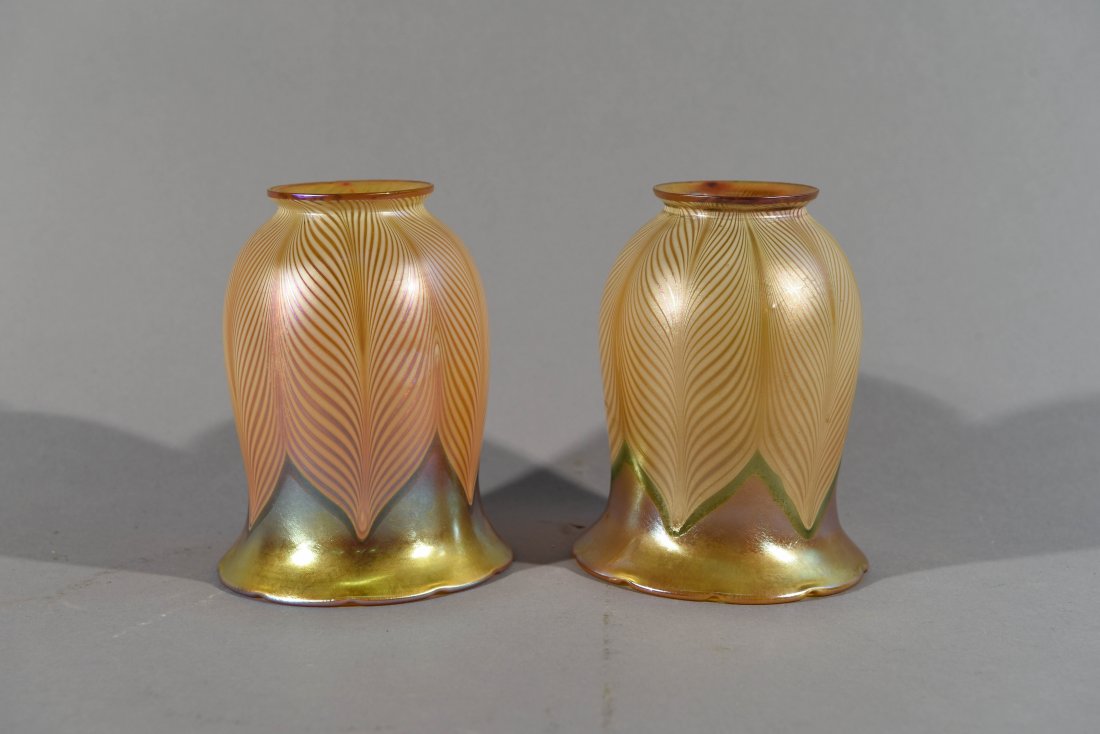 TWO QUEZAL SHADES (1 of 8)