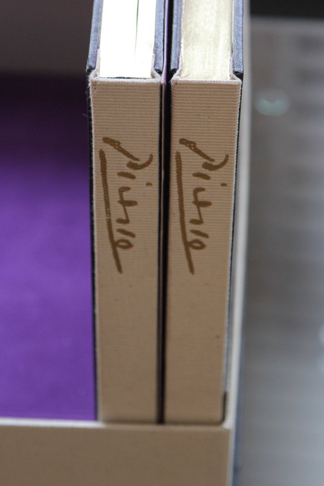 PICASSO 347 TWO ART BOOK SET (1 of 5)