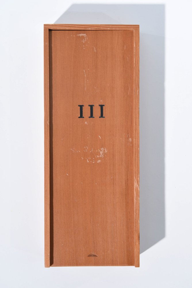 LORNA SIMPSON (AMERICAN 1960 - (1 of 7)