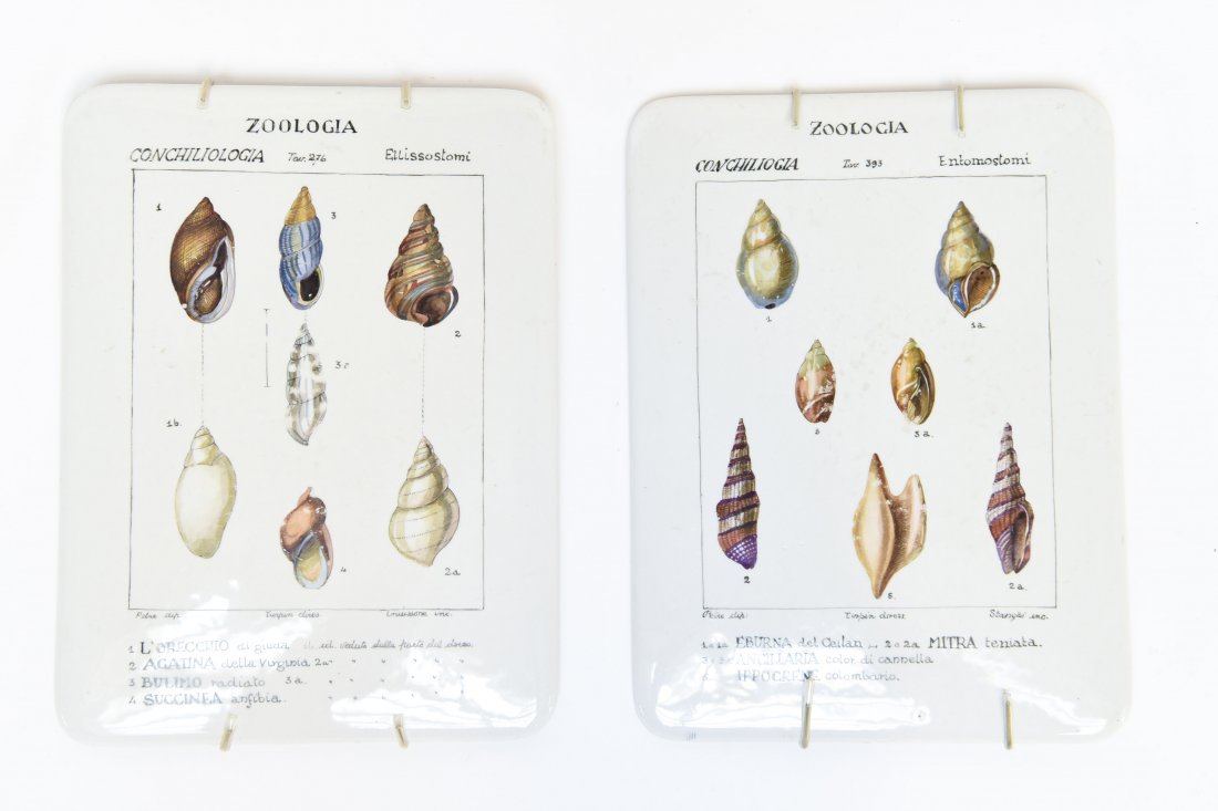 TWO SEVRES PORCELAIN SHELL PLAQUES (1 of 6)