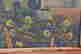 item-48840224=3