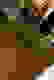item-49444405=6