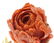 David Webb 18k Gold Coral Flower Brooch - 3