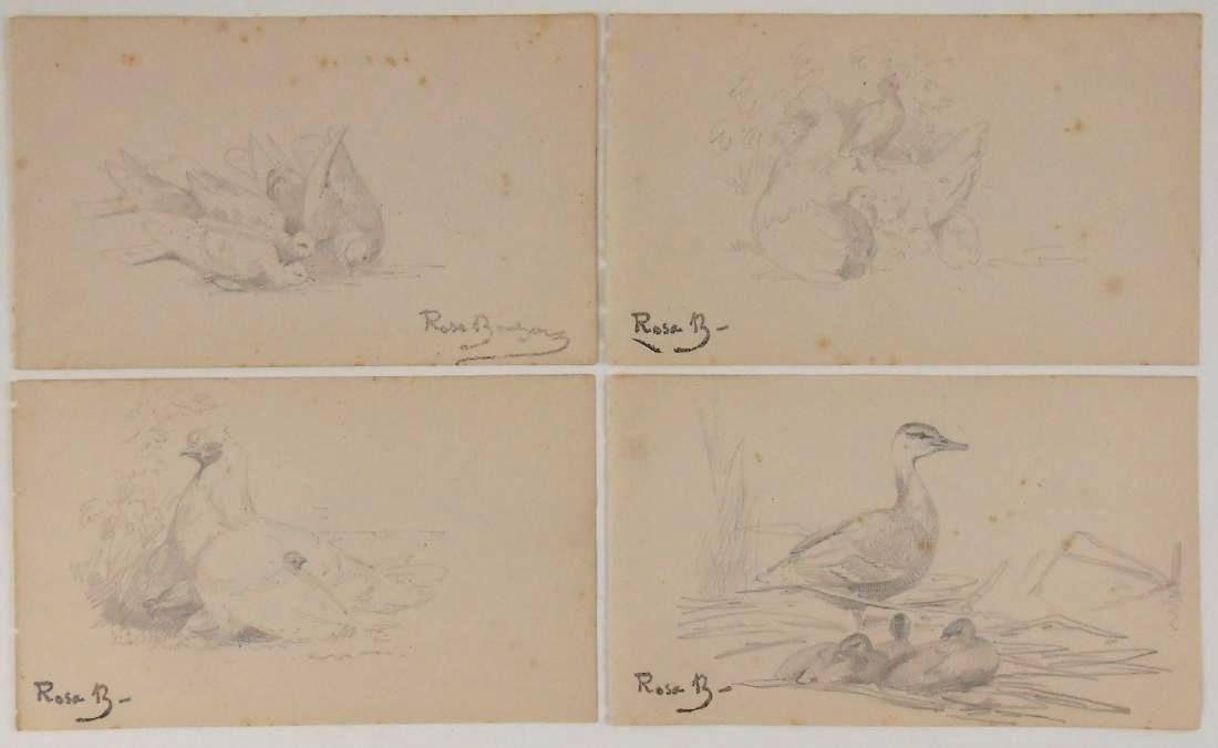 Rosa Bonheur (1822-1899) Pencil Drawings: Group of four pencil sketches, animal studies, attributed* to Rosa Bonheur (1822-1899). With artist's stamped signature. 5 7/8 x 3 3/8 inches each. Very good condition. Unframed for inspection and pos