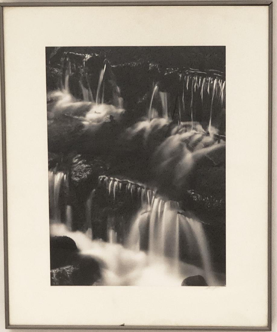 Ansel Adams (1902-1984) Fern Spring: Ansel Adams silver print, "Fern Spring, Dusk, Yosemite Valley," signed by Adams. 16 3/4 x 13 1/4 inches. From "Images 1923-1974". Boston: New York Graphic Society, [1974]. First printing, deluxe issue