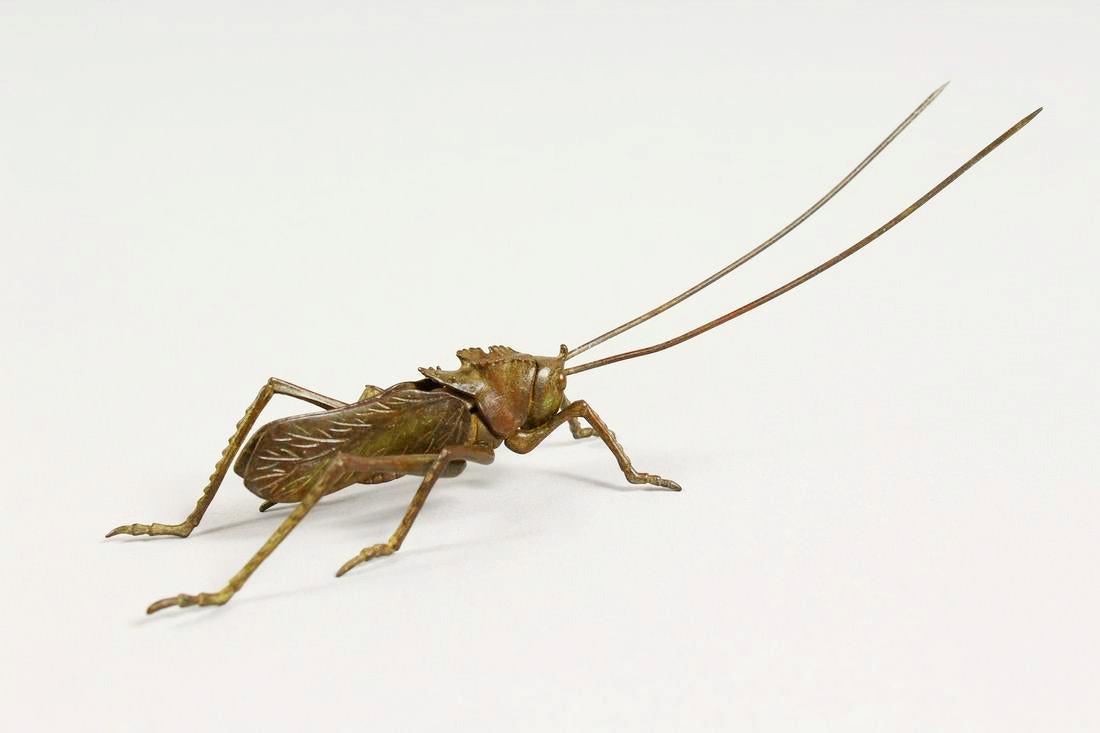 Japanese Bronze Locust, Meiji Period: Fine Japanese bronze locust, Meiji Period, signed. L. 5 1/2 inches