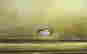 item-133730123=4