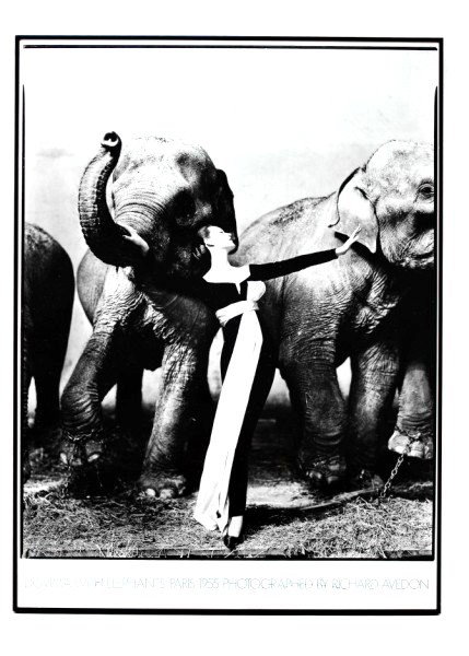 Autographed Poster By Richard Avedon: Framed poster, "Dovima with Elephant", by Richard Avedon (1923-2004). Autographed by the artist. Image measures approximately 37 x 27 inches. Very good condition.