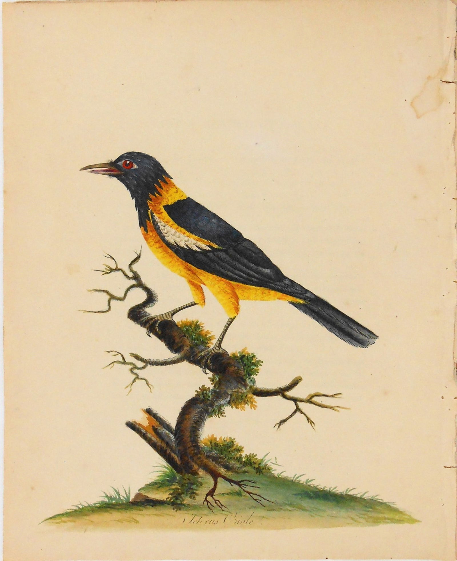 18th Century Handcolored Lithograph (1 of 2)