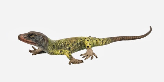 Cold-Painted Austrian Bronze Lizard
