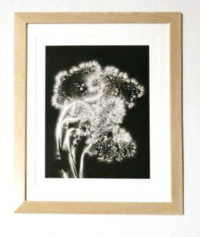 Walter Chapelle (1925-2000) Photograph: Metaflora series, platinum print, signed by the photographer in pencil on the mount. Framed by Randolph Laub. Framed dimensions: 45 x 37 1/2 inches. Very good condition.Artist Note: "Walter Landon Cha