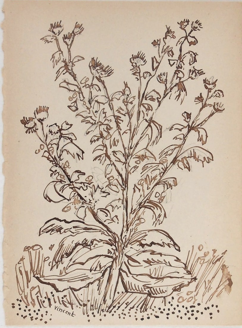 Vincent Van Gogh* (1853-1890) Sketchbook Drawing (See Guarantee & Disclaimer): Brown ink sketchbook drawing on medium weight wove paper, study of a thistle plant, signed (Vincent van Gogh*, 1853-1890). Very good condition overall. No repairs or visible damage. Sold unframed, as 