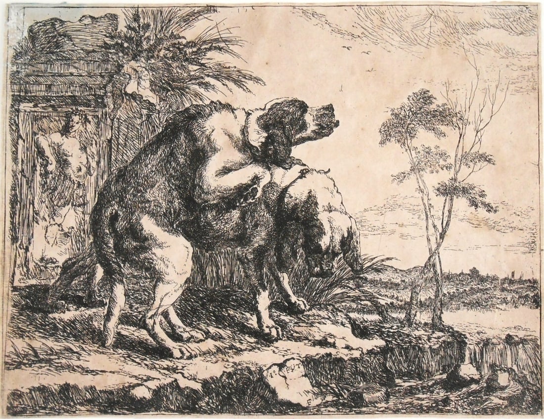 Jan Fyt (1611-1661) Etching: Etching by Jan Fyt (1611-1661), "Zwei Spielende Hunde" (1640), on thin laid paper. Good condition overall. Dimensions: H. 6 5/8 inches W. 8 3/4 inches