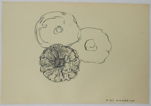 Piet Mondrian (1872-1944) Charcoal Drawing: Charcoal drawing on slightly toned wove sketchbook paper, study of flowerheads, attributed to Piet Mondrian (1872-1944). Signed lower right. Probably executed circa 1935-1940. 7 1/4 x 5 inches. Very g