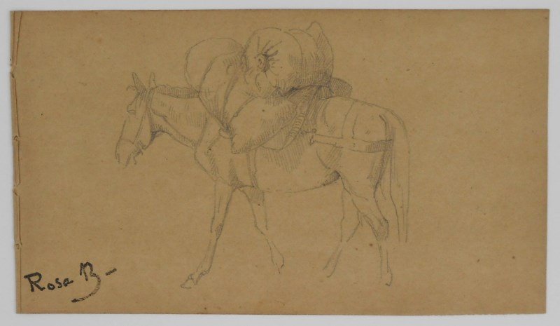 Rosa Bonheur (1822-1899) Pencil Drawing (1 of 1)