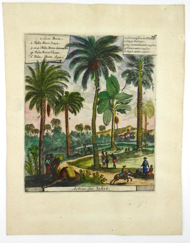 Pieter van der Aa Engraving, 17th century (1 of 1)