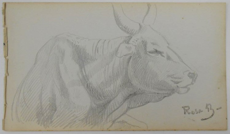 Rosa Bonheur (1822-1899) Pencil Drawings (1 of 2)
