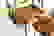 item-55541962=5