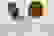 item-55541973=4