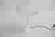 item-55542266=2