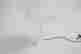 item-55542266=8