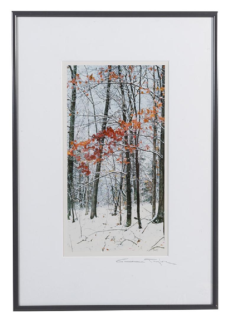 Gene Taylor (20th Century) Photograph (1 of 7)