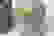 item-83976037=3