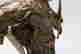 item-83976040=10