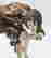 item-83976040=7