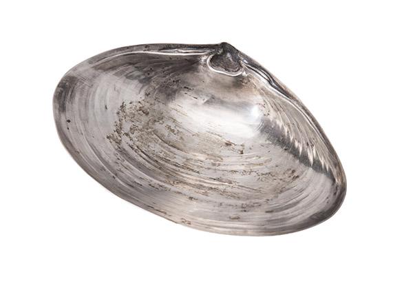 Wallace Sterling Clam Shell Dish (1 of 7)