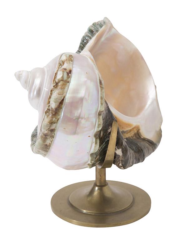 Conch Mother of Pearl Shell on Stand (1 of 7)