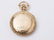 Elgin 18k Gold Pocket Watch, Movement w/ Abbots - 13