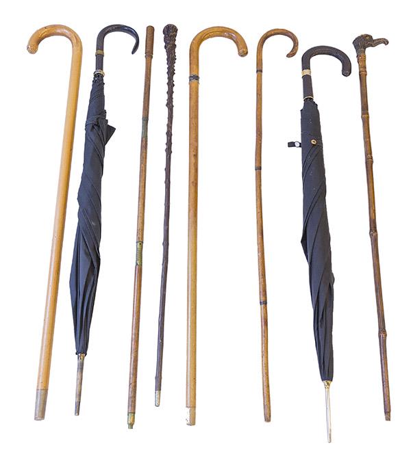 Assembled Canes and Umbrellas (1 of 10)