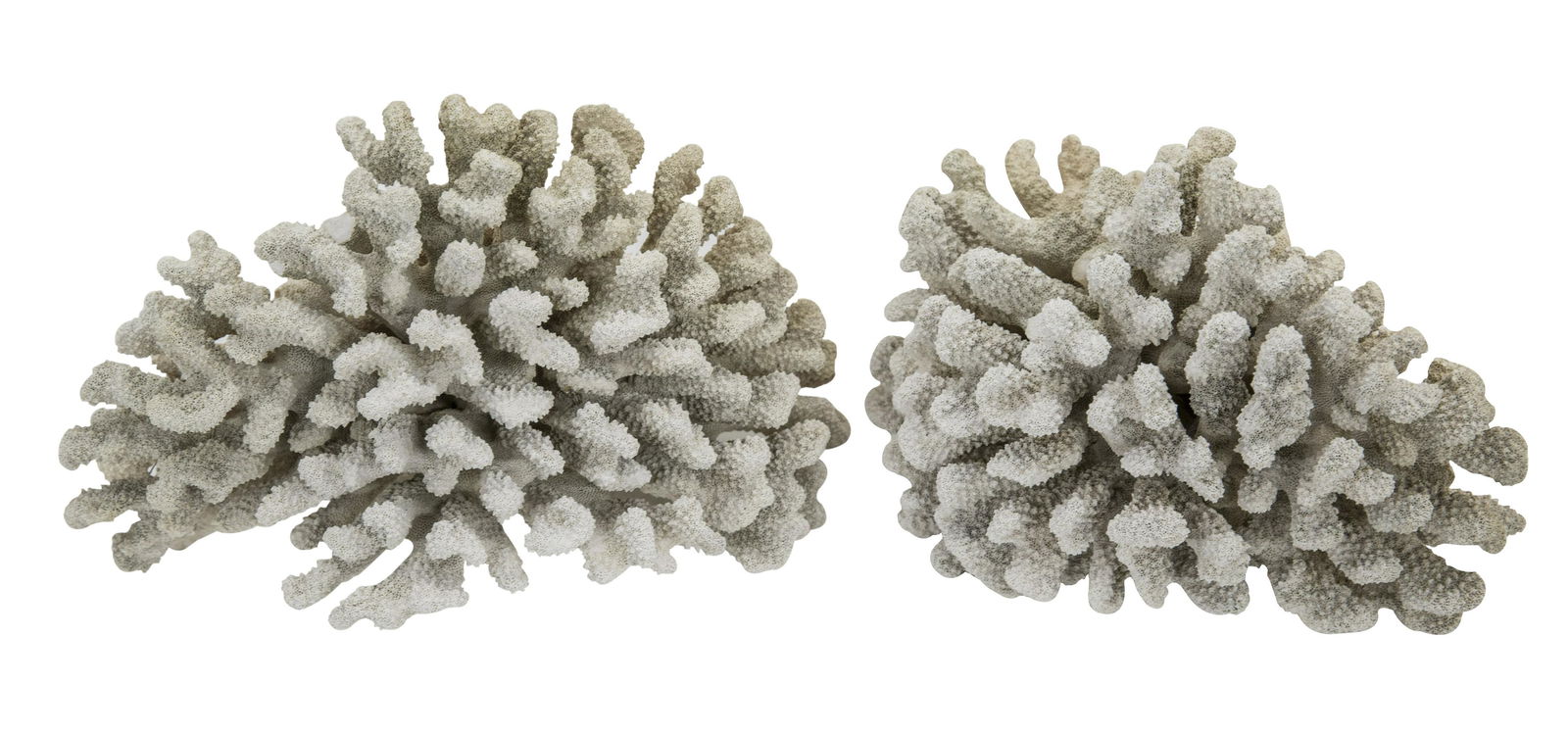 Two Large White Aquarium Coral (1 of 6)