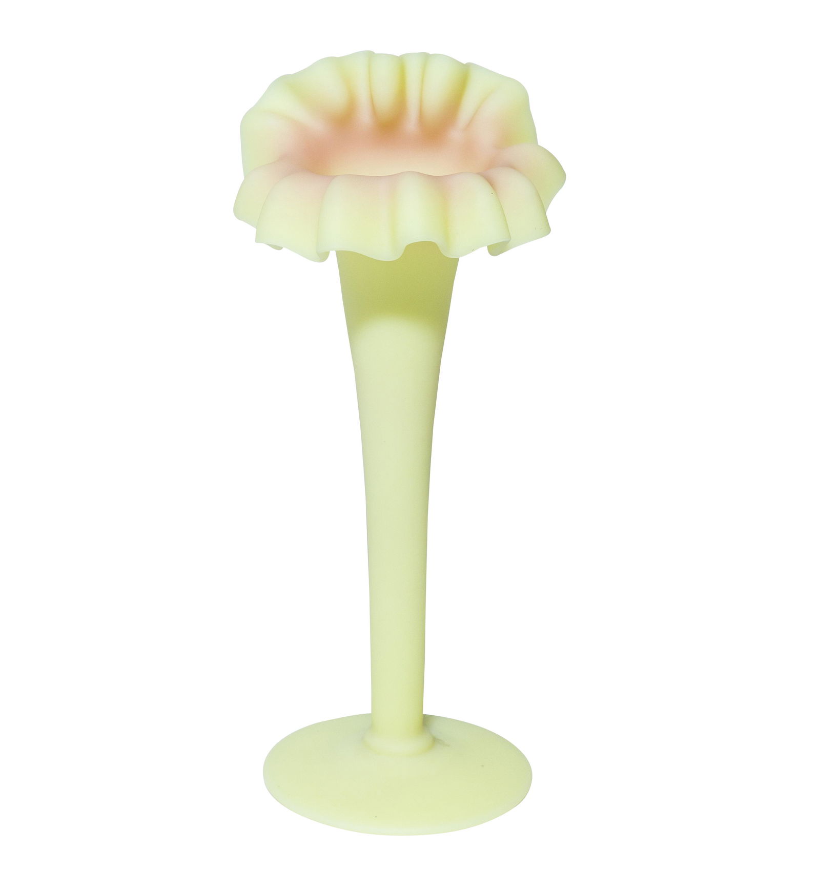 Mt Washington Jack-in Pulpit, Acid Burmese Vase (1 of 5)