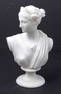 19th Century Marble Bust of Andromeda