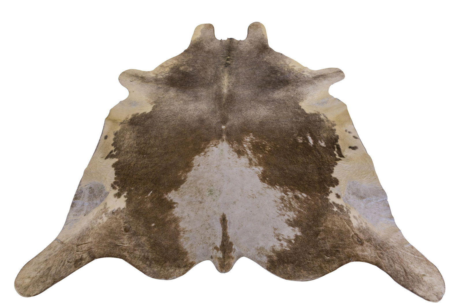 Argentina Pony Hide Area Rug (1 of 8)