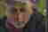 item-107900925=2