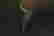 item-107901274=4