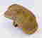 item-113215728=3