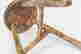 item-113215740=2