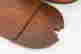 item-113215748=4
