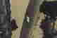 item-113215858=2