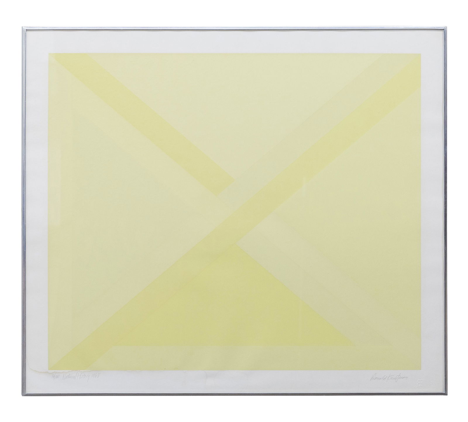 Donald Kaufman (born 1935) Lithograph (NY): Lithograph on paper, "Natural History" dated 1968. Signed lower right and numbered 16/100, dated and titled in pencil lower left. Image size- 30 x 36, frame- 30.25 x 36.25