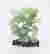 item-130086261=4