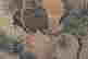 item-130086366=7