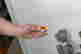 item-130086369=13