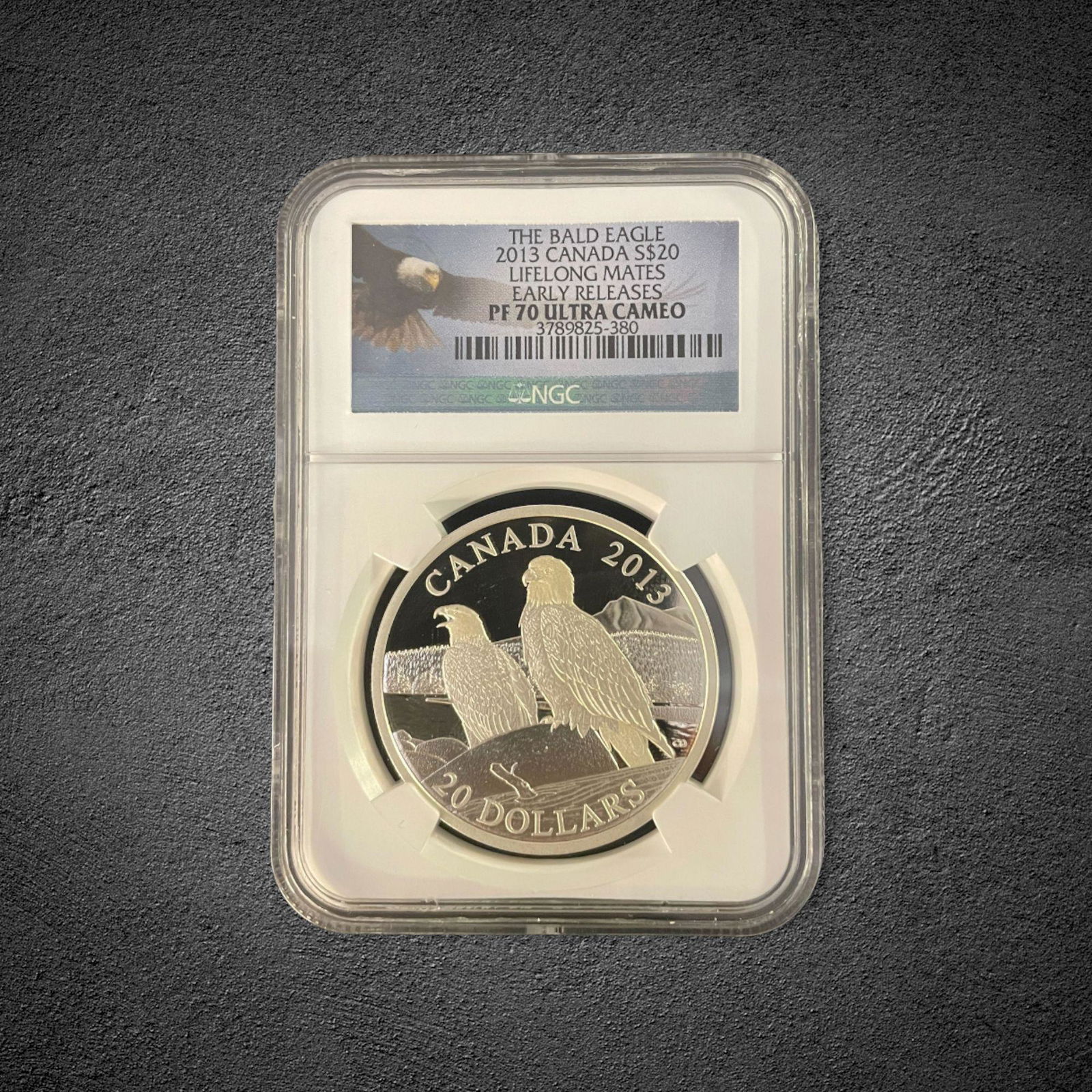 2013 Canada Bald Eagle Silver Ultra Cameo Proof Coin (1 of 1)