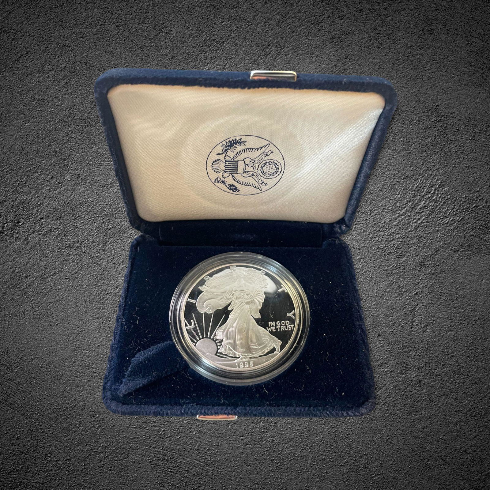 1995-P Silver Eagle $1 Proof Coin (1 of 1)