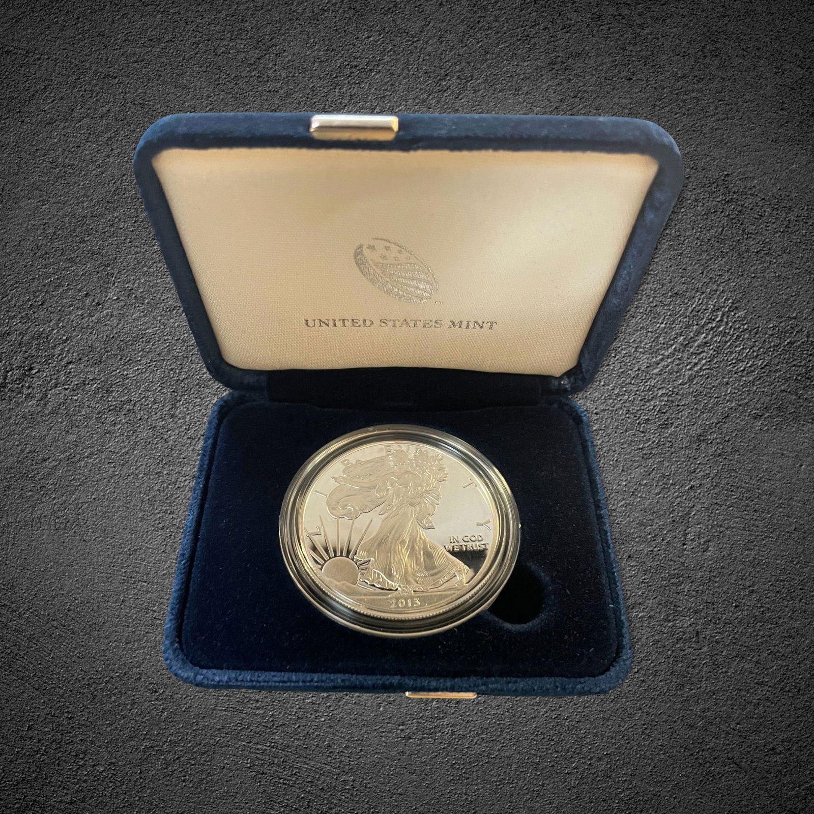 2013 Silver Eagle $1 Proof Coin (1 of 1)